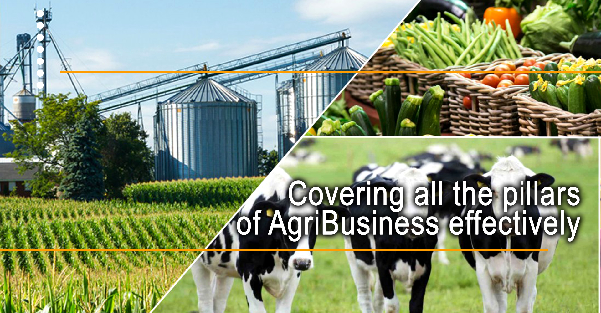 Agribusiness