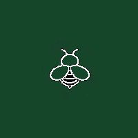Bee Keeping